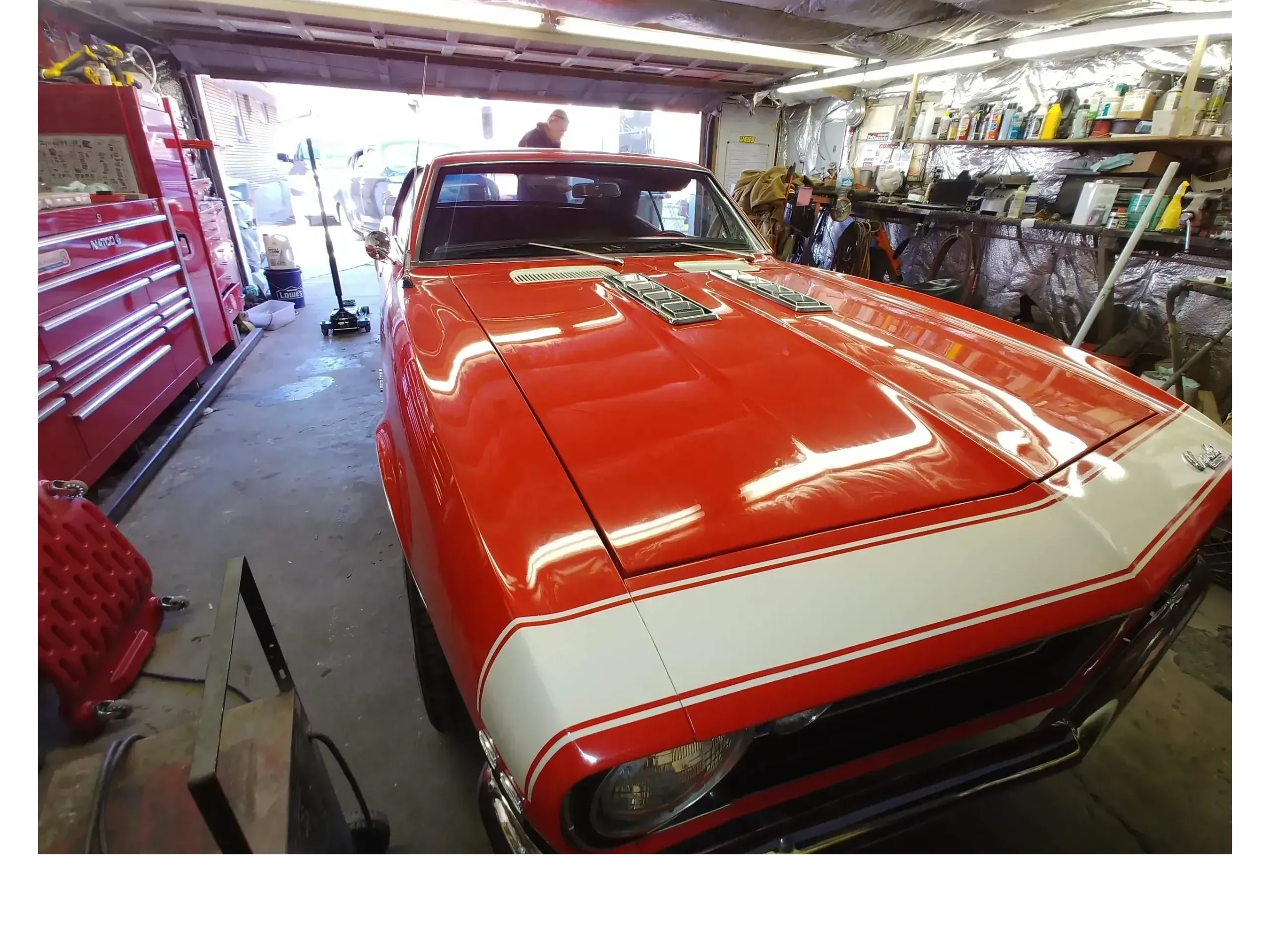 Classic Muscle Cars (Buy Rust Free, and save Money)